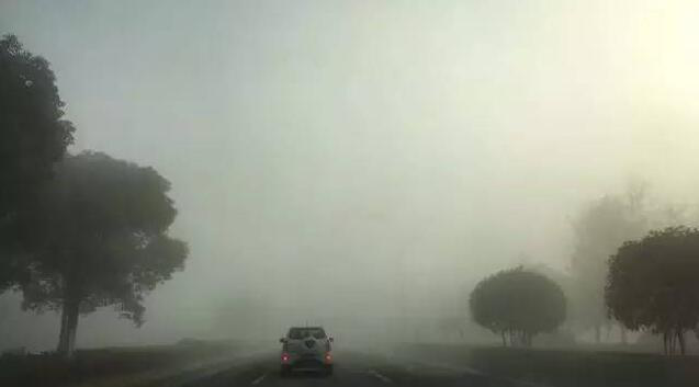 圖片4.png 圖片4.png